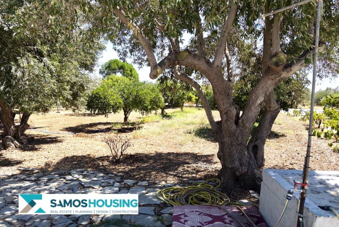 SH564 Cottage Potokaki Samos