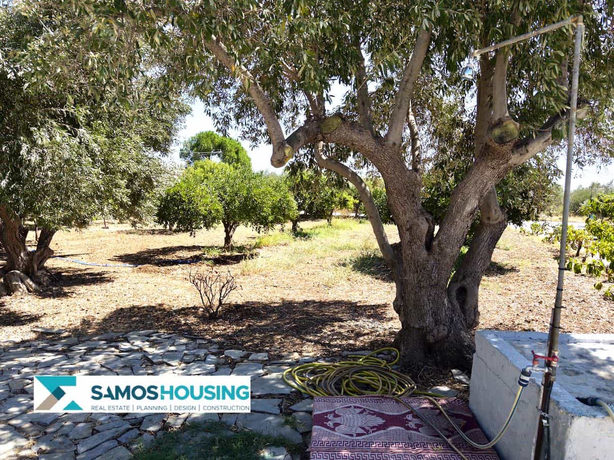 SH564 Cottage Potokaki Samos11 SH564 Cottage Potokaki Samos