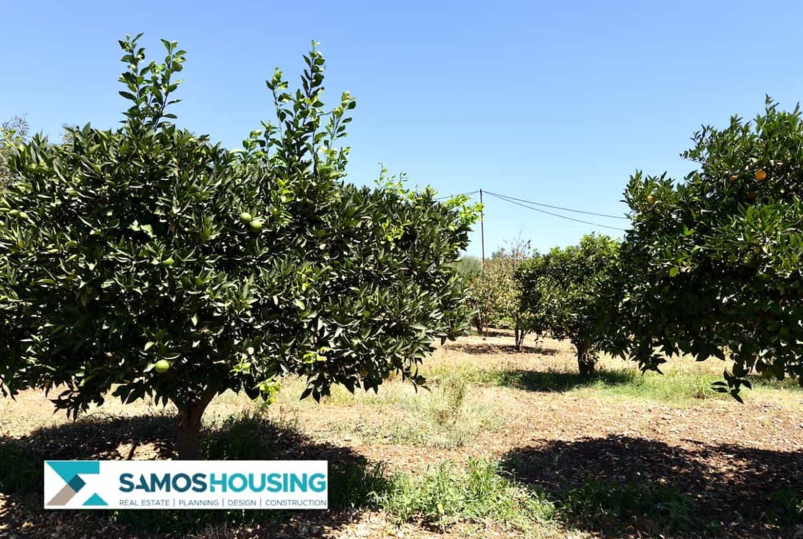 SH564 Cottage Potokaki Samos