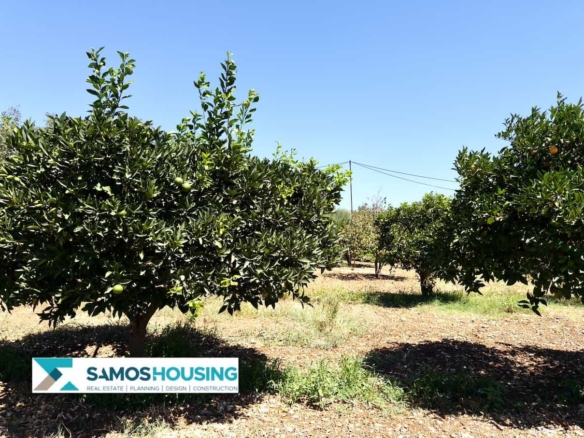 SH564 Cottage Potokaki Samos