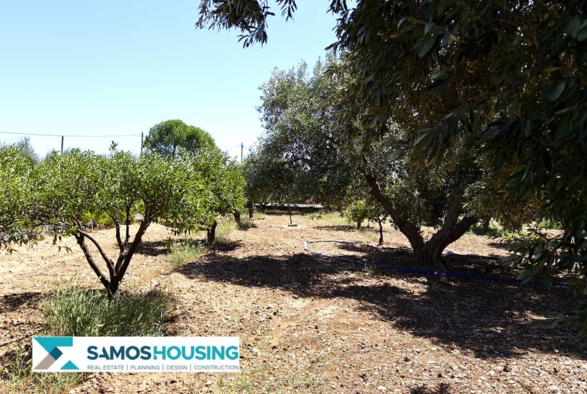 SH564 Cottage Potokaki Samos