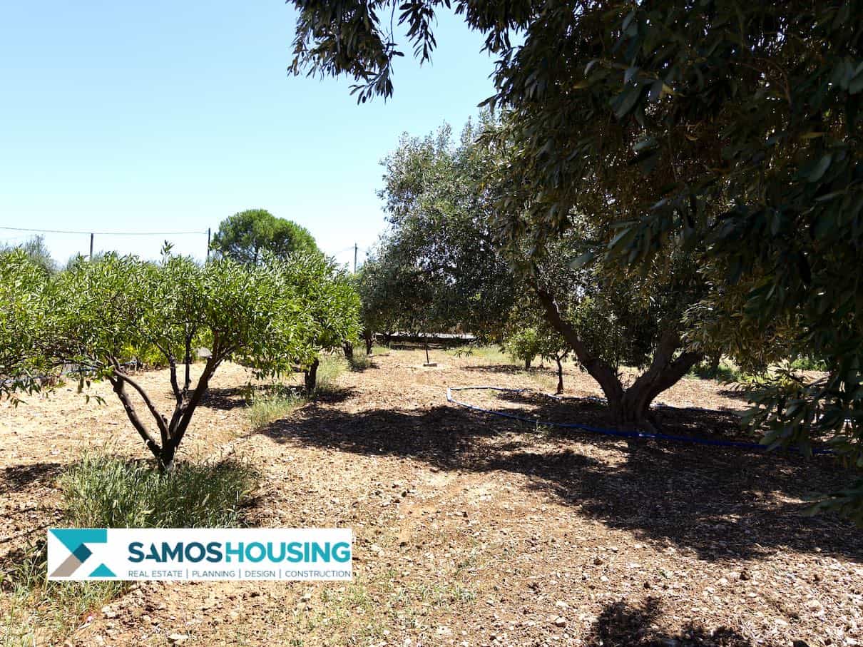 SH564 Cottage Potokaki Samos20 SH564 Cottage Potokaki Samos