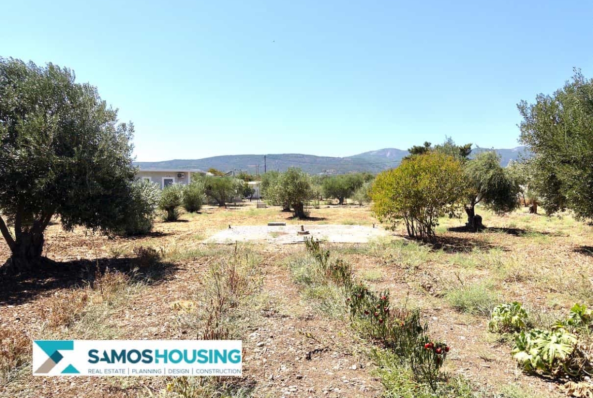 SH564 Cottage Potokaki Samos