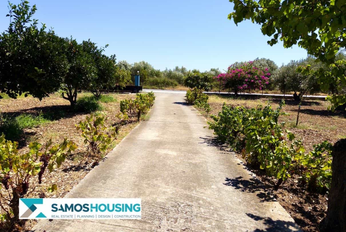 SH564 Cottage Potokaki Samos