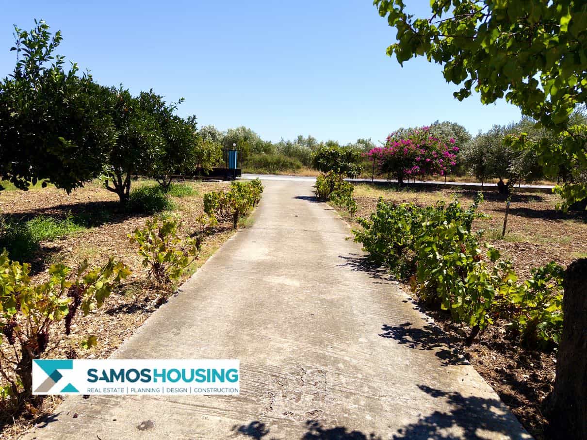 SH564 Cottage Potokaki Samos25 SH564 Cottage Potokaki Samos