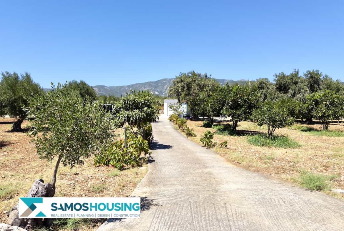 SH564 Cottage Potokaki Samos