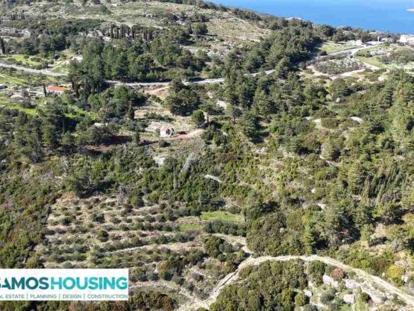 Stone Cottage on 12,328 m² Buildable Plot in Zervou Samos - photo 9
