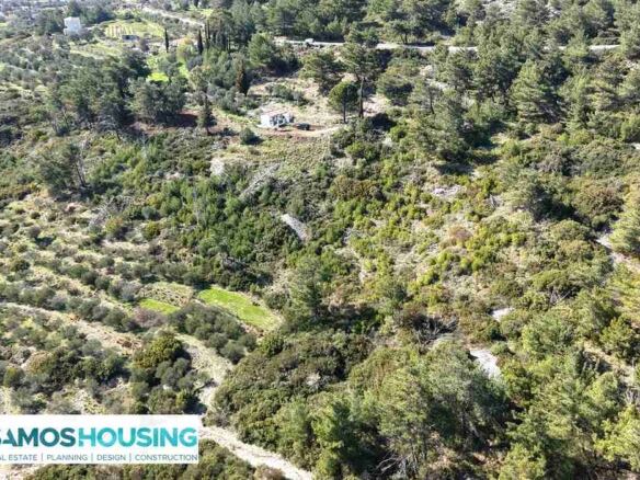 Stone Cottage on 12,328 m² Buildable Plot in Zervou Samos - photo 13
