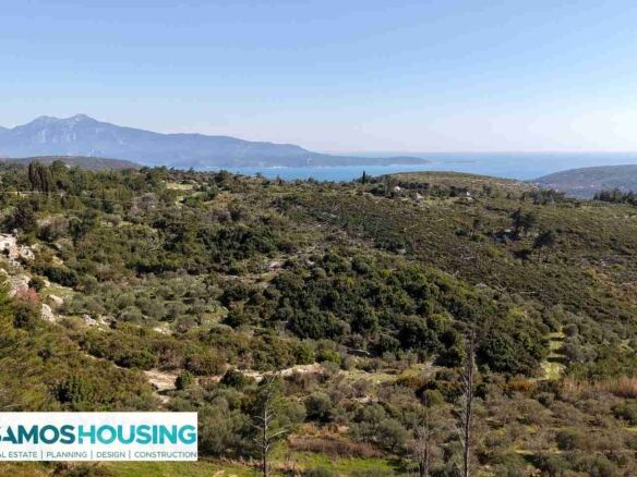 Stone Cottage on 12,328 m² Buildable Plot in Zervou Samos - photo 22
