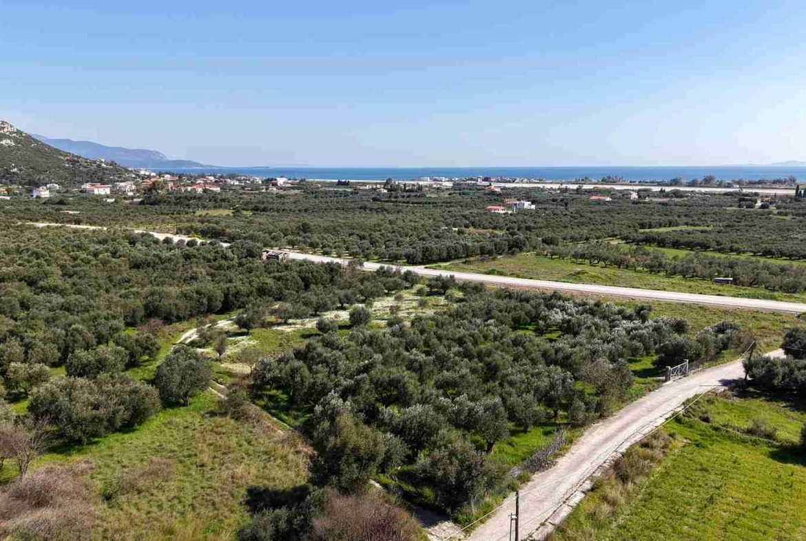 Οικόπεδο στη Χώρα Σάμου | Άδεια για 4 Βίλες & 2 Πισίνες | SH577 - photo 12