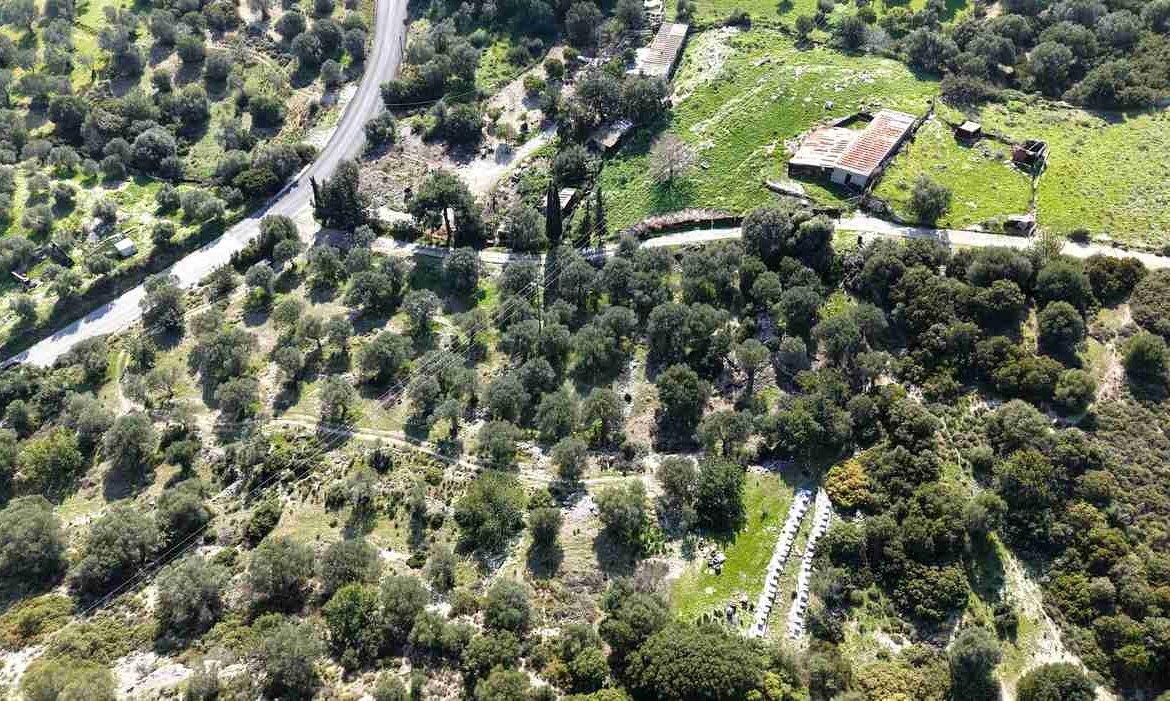 Rural land parcel SH578 near Chora Samos with olive grove landscape and sea backdrop