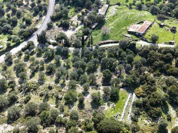 Rural land parcel SH578 near Chora Samos with olive grove landscape and sea backdrop