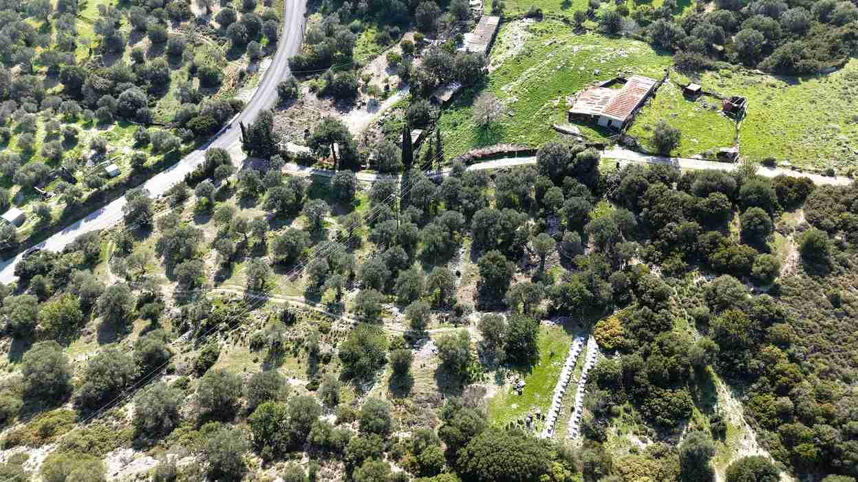 Rural land parcel SH578 near Chora Samos with olive grove landscape and sea backdrop