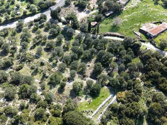 Αγροτεμάχιο με Θέα Θάλασσα κοντά στη Χώρα Σάμου | SH578 - photo 9