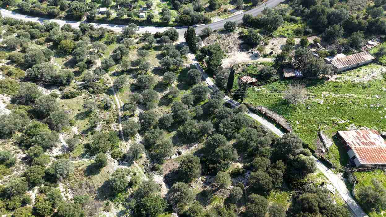 Αγροτεμάχιο με Θέα Θάλασσα κοντά στη Χώρα Σάμου | SH578 - photo 10