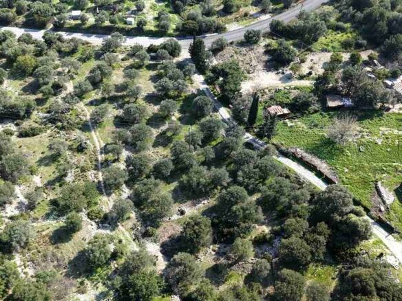 Buildable rural plot near Chora Samos aerial photo showing Potokaki coastline in background