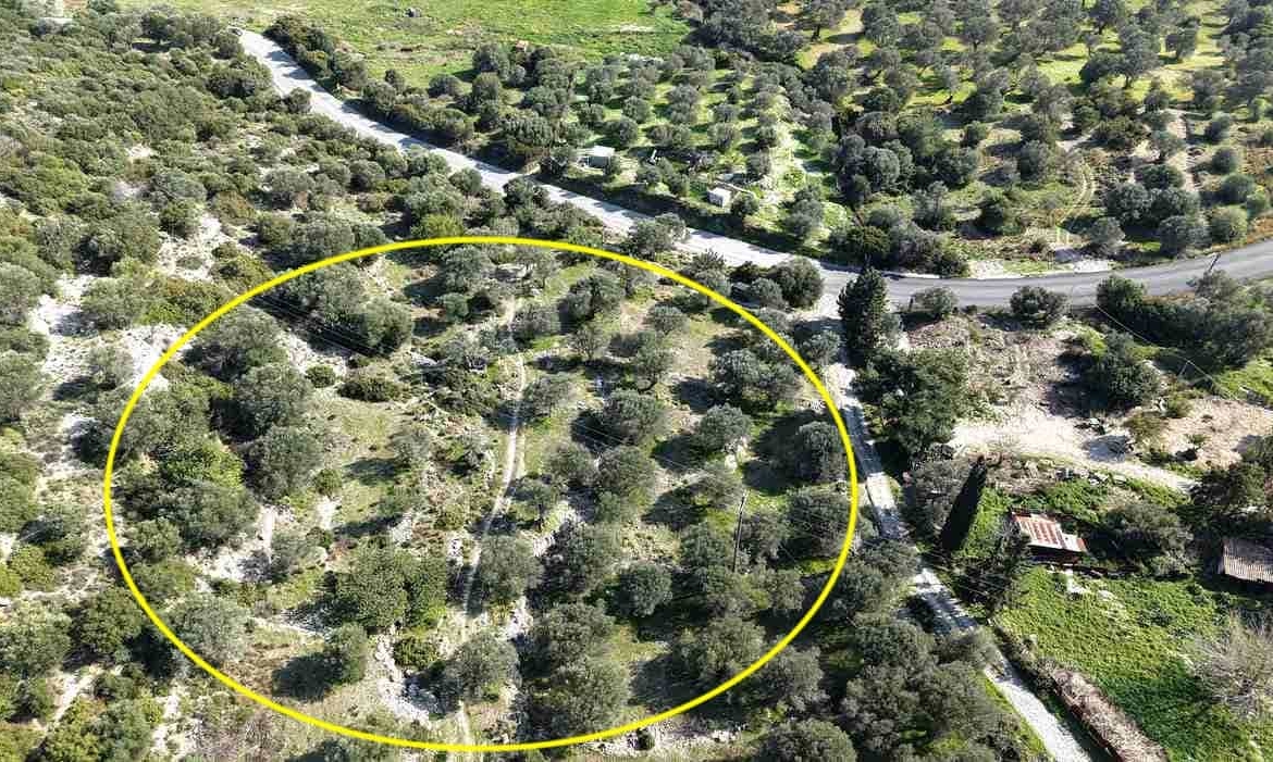 Αγροτεμάχιο με Θέα Θάλασσα κοντά στη Χώρα Σάμου | SH578 - photo 11