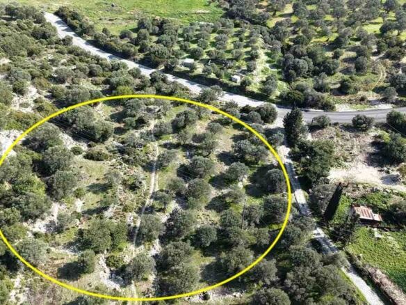 SH578 land plot near Chora Samos hillside view with typical Samian countryside landscape