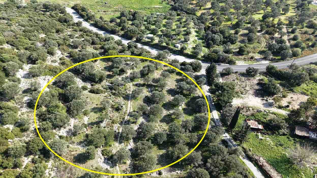 SH578 land plot near Chora Samos hillside view with typical Samian countryside landscape