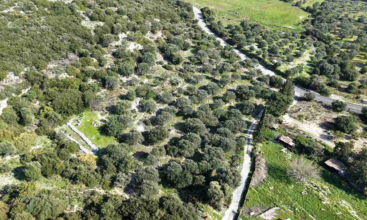 Αγροτεμάχιο με Θέα Θάλασσα κοντά στη Χώρα Σάμου | SH578 - photo 13