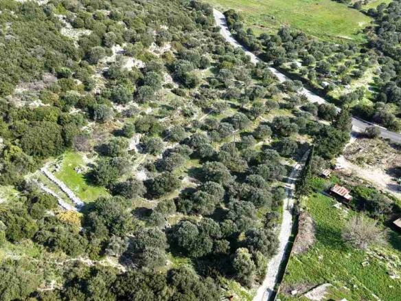 Drone overview of buildable hillside land near Chora Samos SH578 Samos Housing