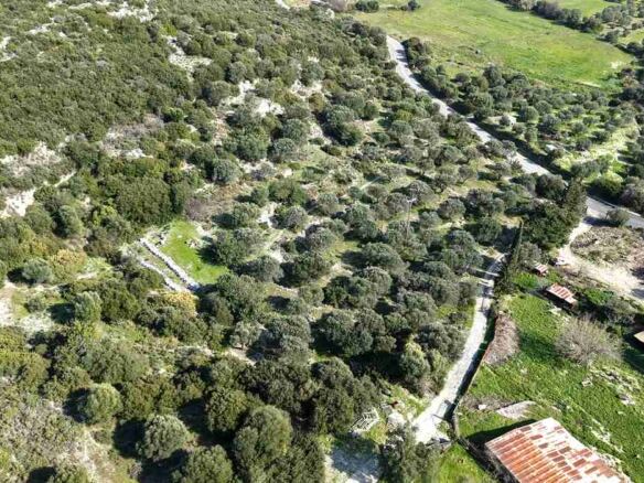 Αγροτεμάχιο με Θέα Θάλασσα κοντά στη Χώρα Σάμου | SH578 - photo 15
