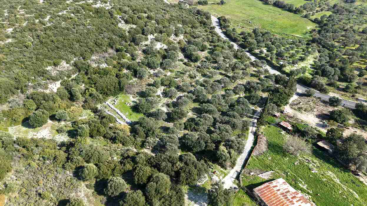 Αγροτεμάχιο με Θέα Θάλασσα κοντά στη Χώρα Σάμου | SH578 - photo 15