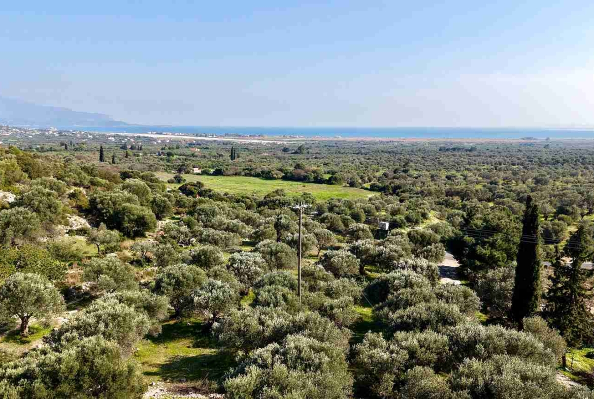Αγροτεμάχιο με Θέα Θάλασσα κοντά στη Χώρα Σάμου | SH578 - photo 16