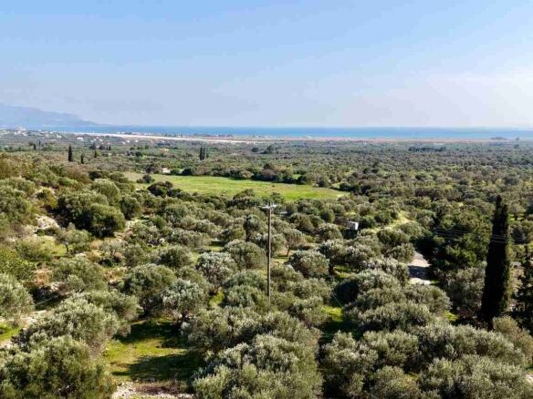 Αγροτεμάχιο με Θέα Θάλασσα κοντά στη Χώρα Σάμου | SH578 - photo 16