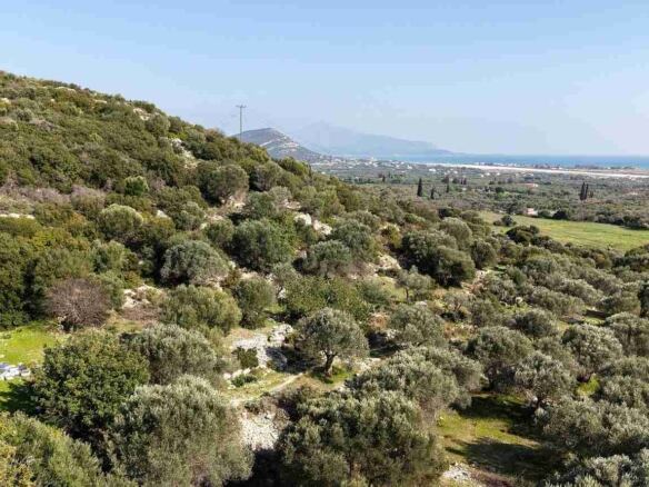 Αγροτεμάχιο με Θέα Θάλασσα κοντά στη Χώρα Σάμου | SH578 - photo 17