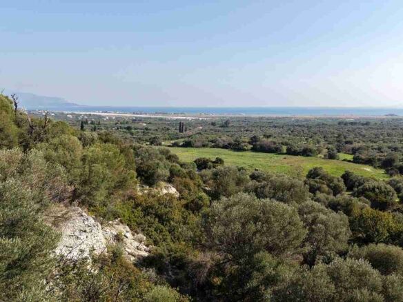 Αγροτεμάχιο με Θέα Θάλασσα κοντά στη Χώρα Σάμου | SH578 - photo 18