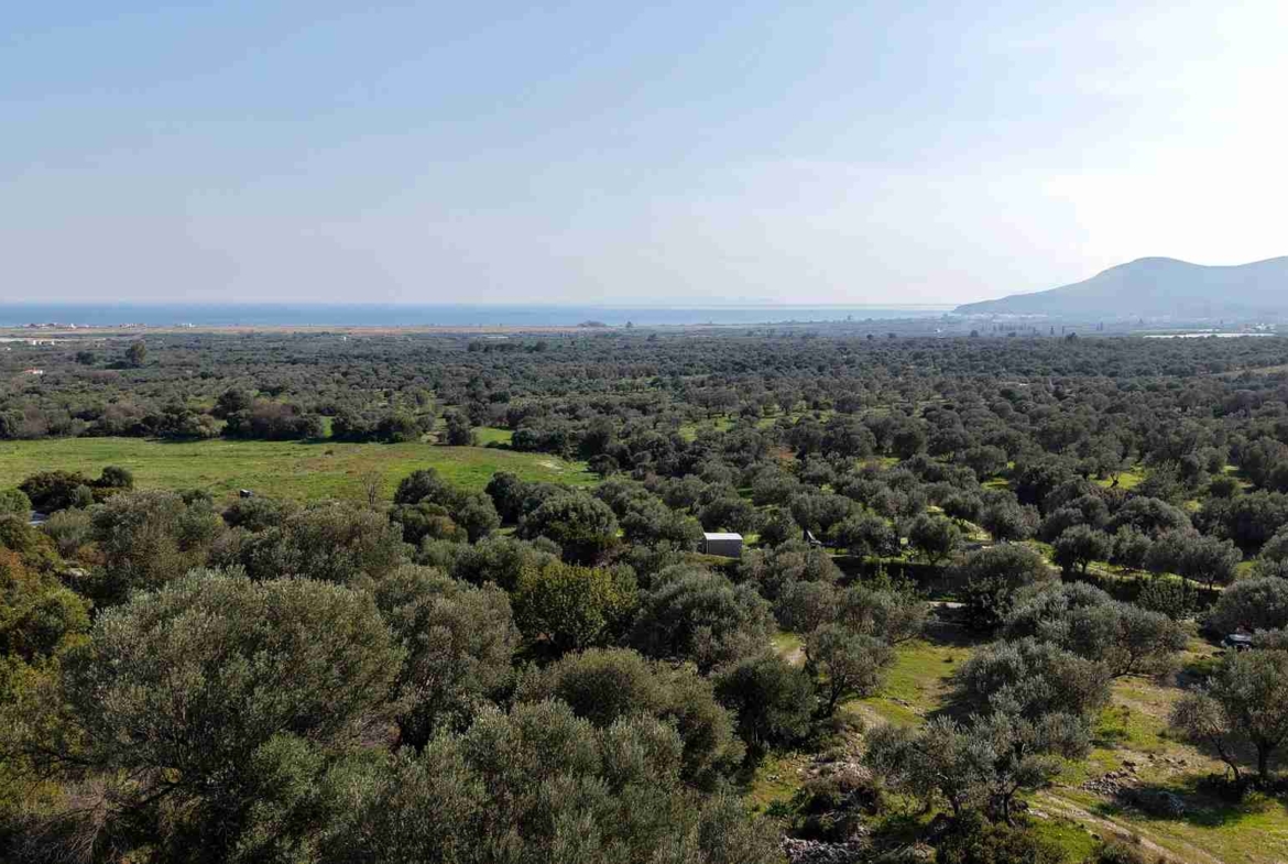 Αγροτεμάχιο με Θέα Θάλασσα κοντά στη Χώρα Σάμου | SH578 - photo 19