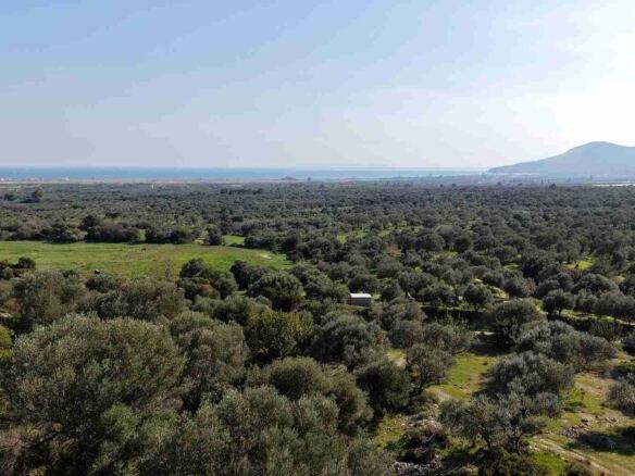 Αγροτεμάχιο με Θέα Θάλασσα κοντά στη Χώρα Σάμου | SH578 - photo 19