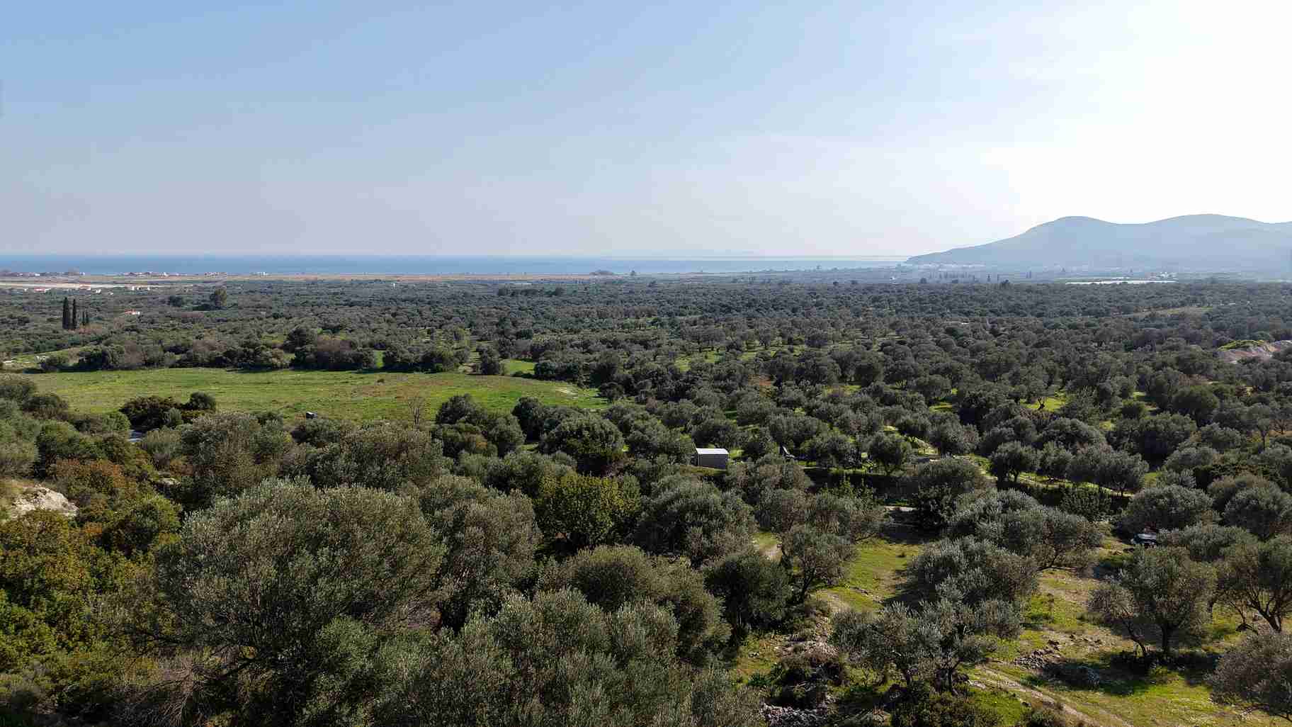 Αγροτεμάχιο με Θέα Θάλασσα κοντά στη Χώρα Σάμου | SH578 - photo 19
