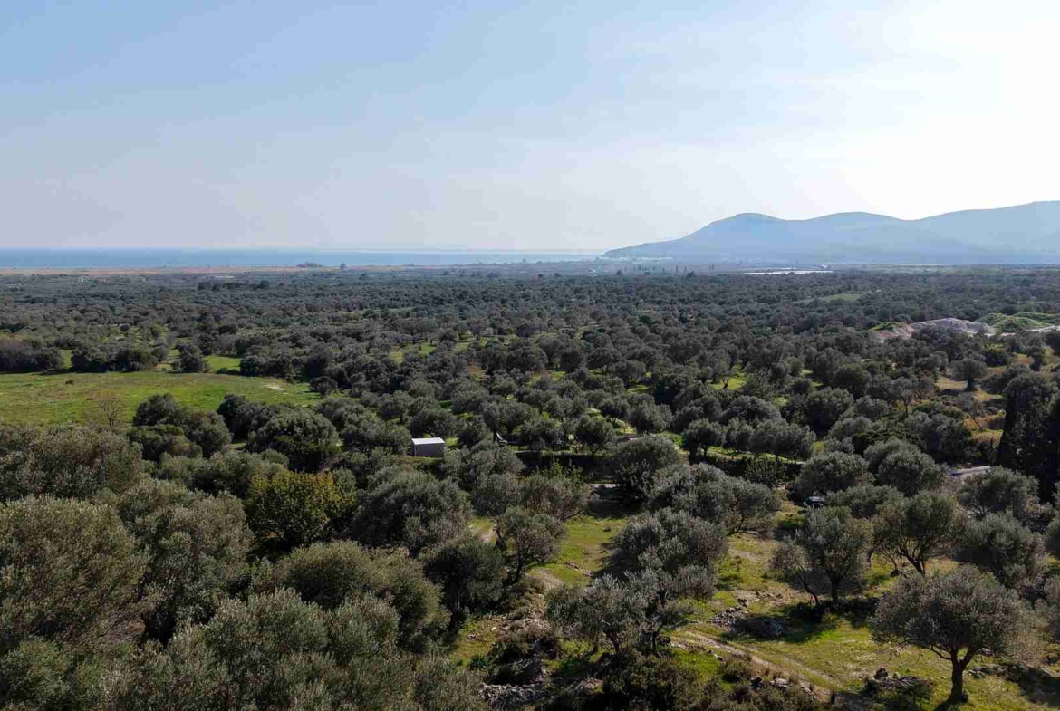 Αγροτεμάχιο με Θέα Θάλασσα κοντά στη Χώρα Σάμου | SH578 - photo 20
