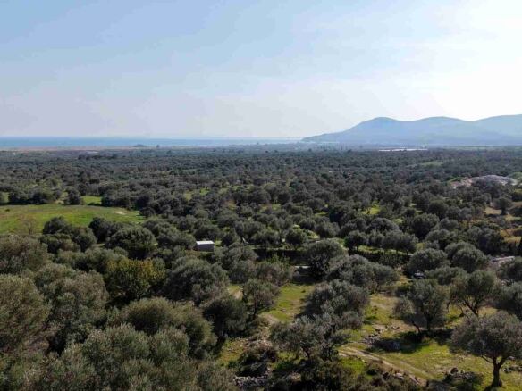 Αγροτεμάχιο με Θέα Θάλασσα κοντά στη Χώρα Σάμου | SH578 - photo 20