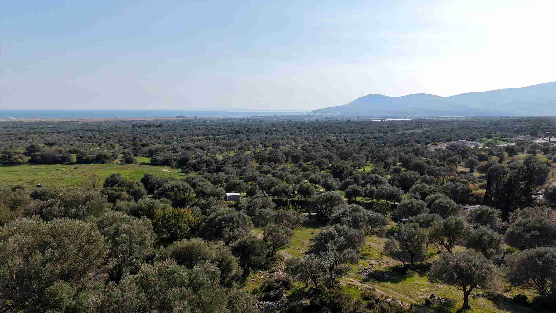 Αγροτεμάχιο με Θέα Θάλασσα κοντά στη Χώρα Σάμου | SH578 - photo 20