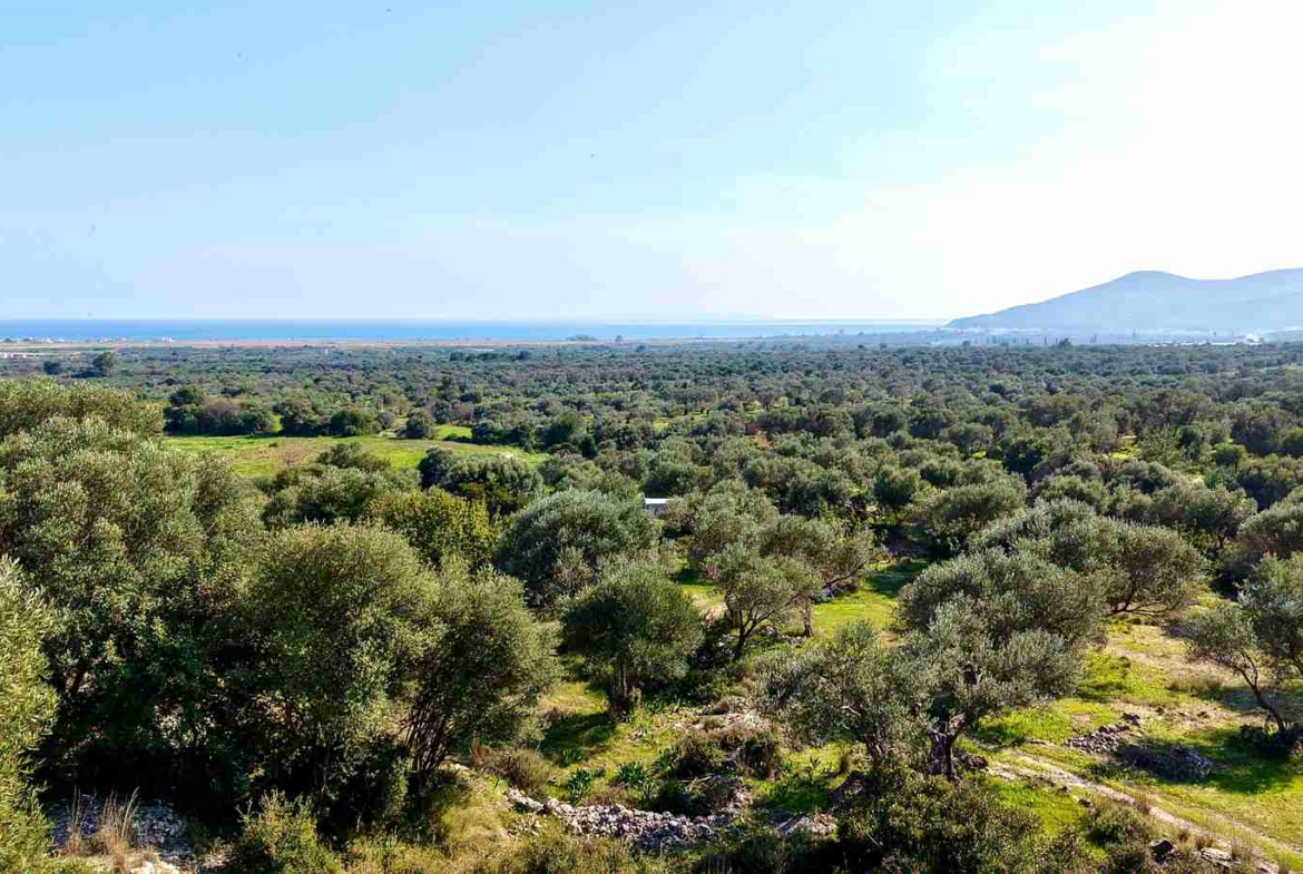 Αγροτεμάχιο με Θέα Θάλασσα κοντά στη Χώρα Σάμου | SH578 - photo 21