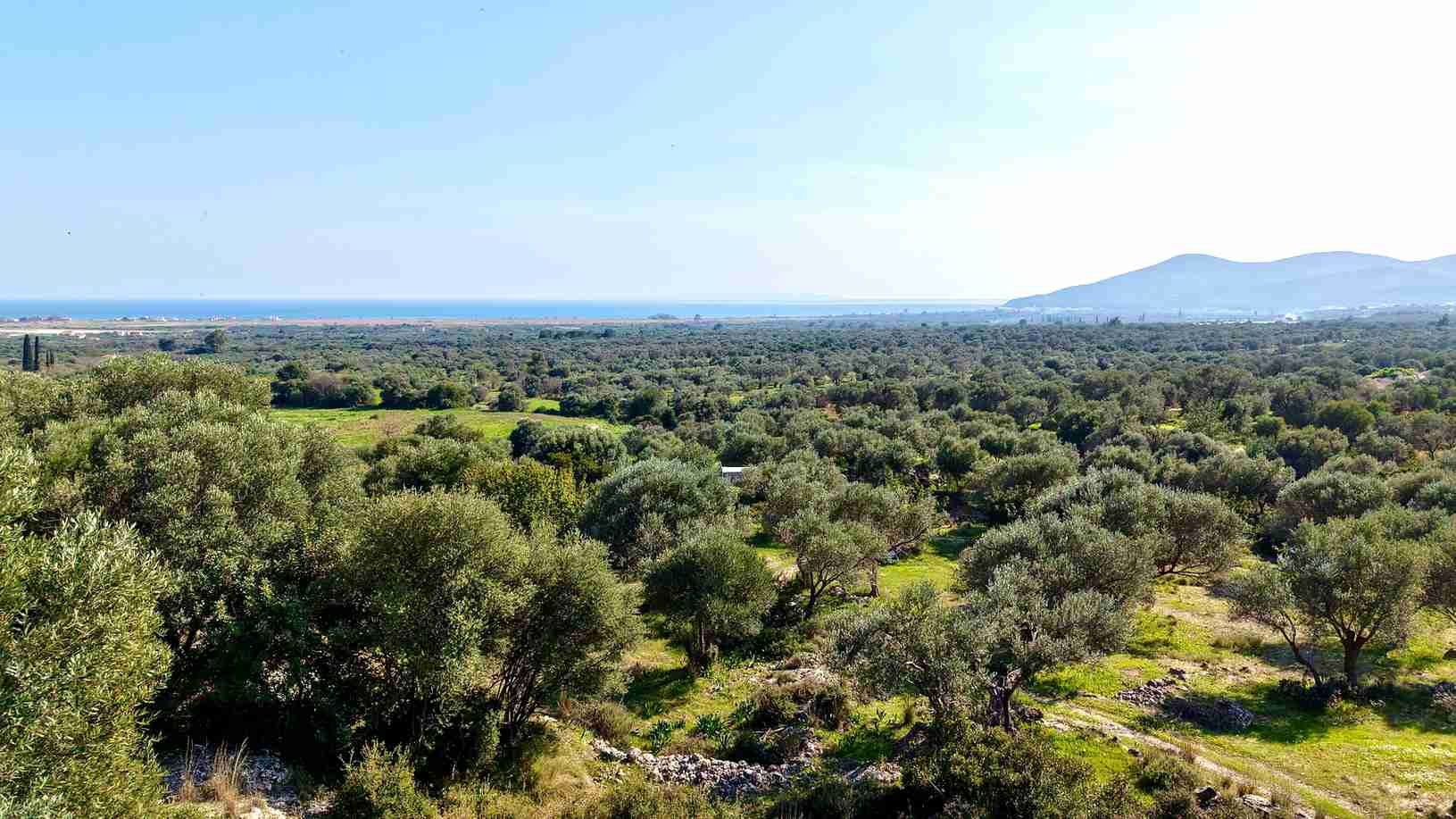 Αγροτεμάχιο με Θέα Θάλασσα κοντά στη Χώρα Σάμου | SH578 - photo 21