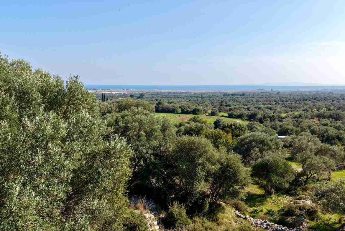 Αγροτεμάχιο με Θέα Θάλασσα κοντά στη Χώρα Σάμου | SH578 - photo 22