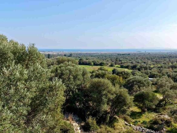 Αγροτεμάχιο με Θέα Θάλασσα κοντά στη Χώρα Σάμου | SH578 - photo 22