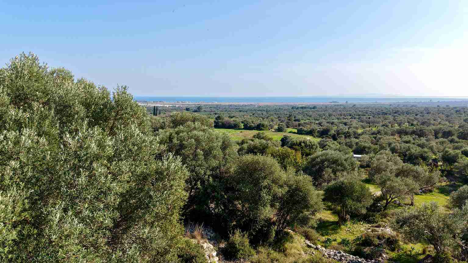 Αγροτεμάχιο με Θέα Θάλασσα κοντά στη Χώρα Σάμου | SH578 - photo 22