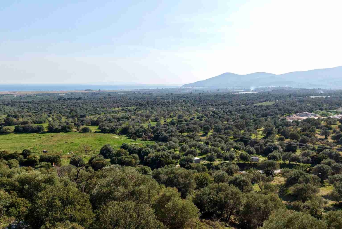 Αγροτεμάχιο με Θέα Θάλασσα κοντά στη Χώρα Σάμου | SH578 - photo 24