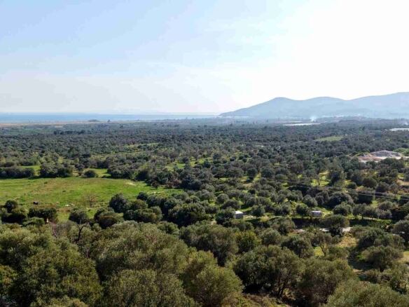 Αγροτεμάχιο με Θέα Θάλασσα κοντά στη Χώρα Σάμου | SH578 - photo 24