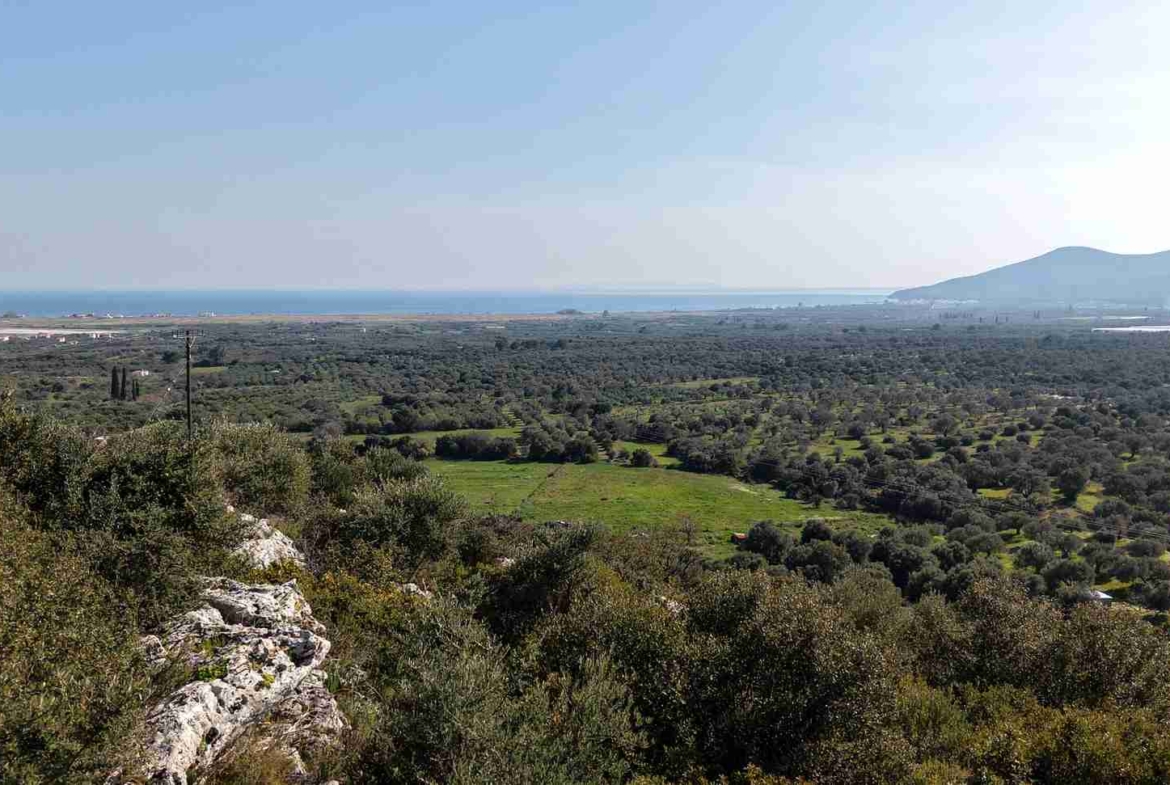 Αγροτεμάχιο με Θέα Θάλασσα κοντά στη Χώρα Σάμου | SH578 - photo 25