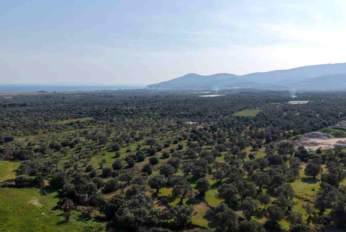 Αγροτεμάχιο με Θέα Θάλασσα κοντά στη Χώρα Σάμου | SH578 - photo 28