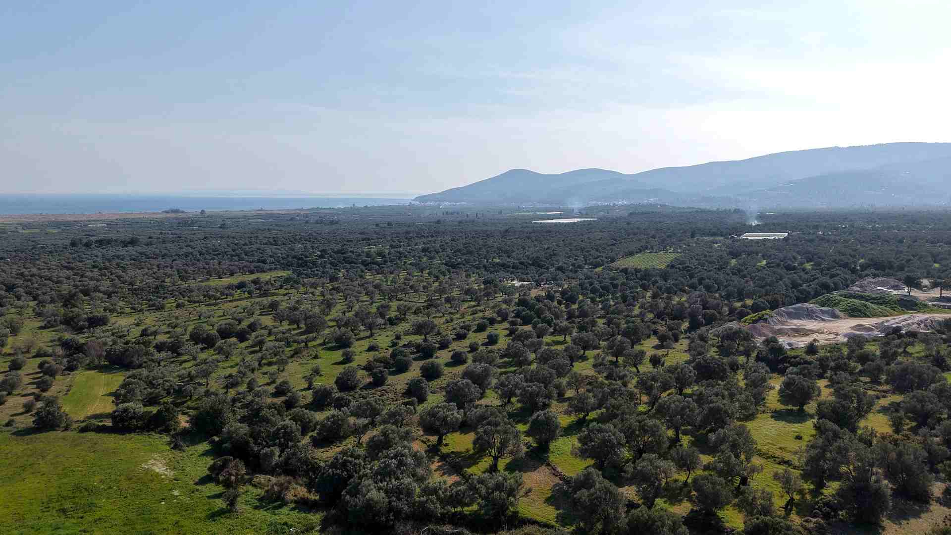 Αγροτεμάχιο με Θέα Θάλασσα κοντά στη Χώρα Σάμου | SH578 - photo 28