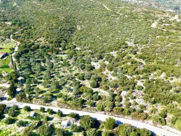 Αγροτεμάχιο με Θέα Θάλασσα κοντά στη Χώρα Σάμου | SH578 - photo 29
