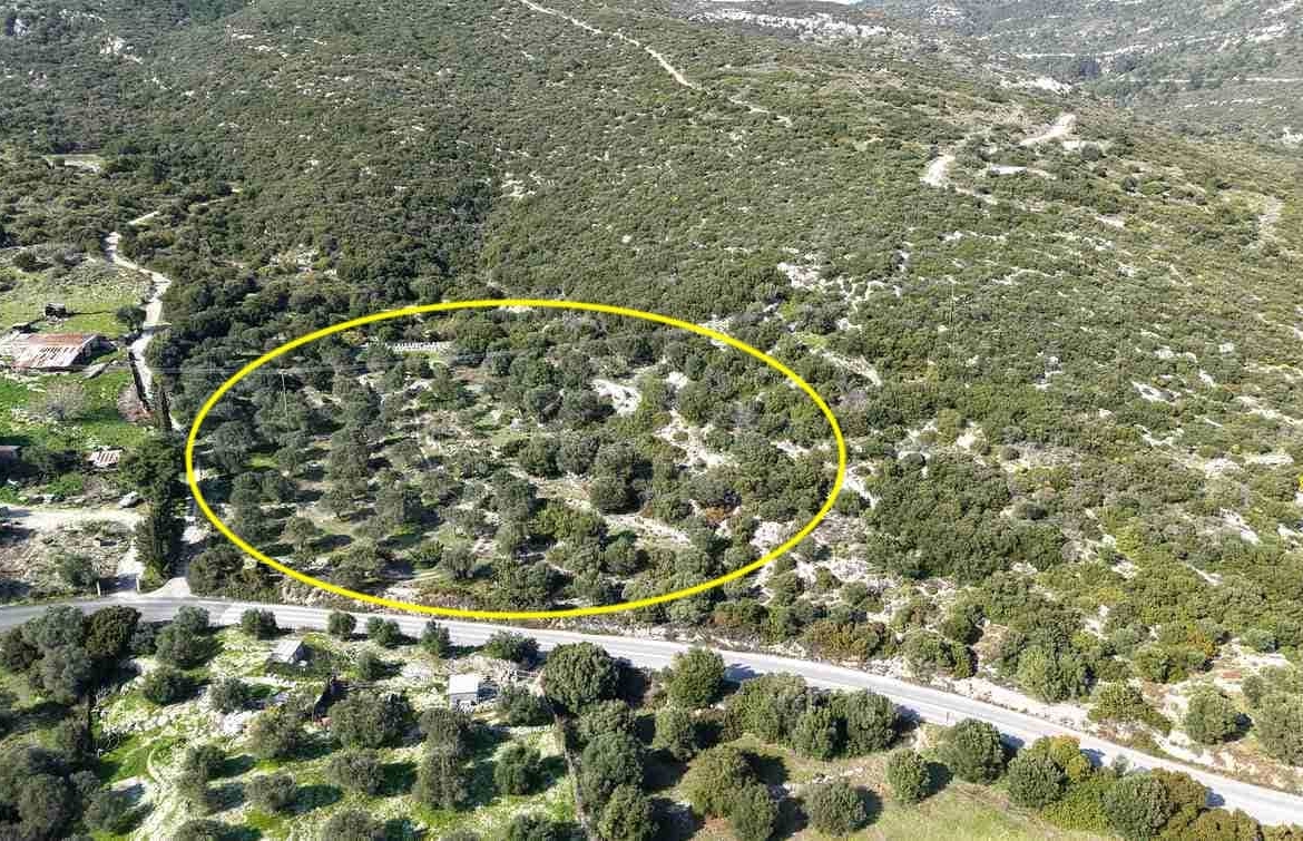 Αγροτεμάχιο με Θέα Θάλασσα κοντά στη Χώρα Σάμου | SH578 - photo 30