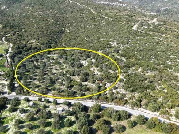 Αγροτεμάχιο με Θέα Θάλασσα κοντά στη Χώρα Σάμου | SH578 - photo 30